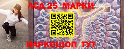 прущие крисы Моздок