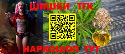 гашик Можга
