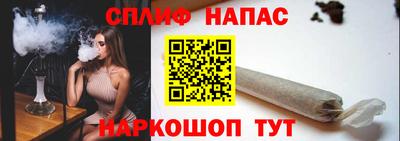 гашик Можга