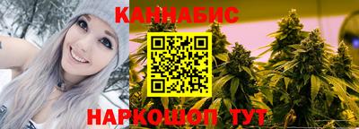 гашик Можга