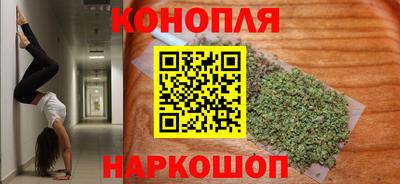 прущие крисы Моздок