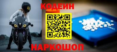 гашик Можга