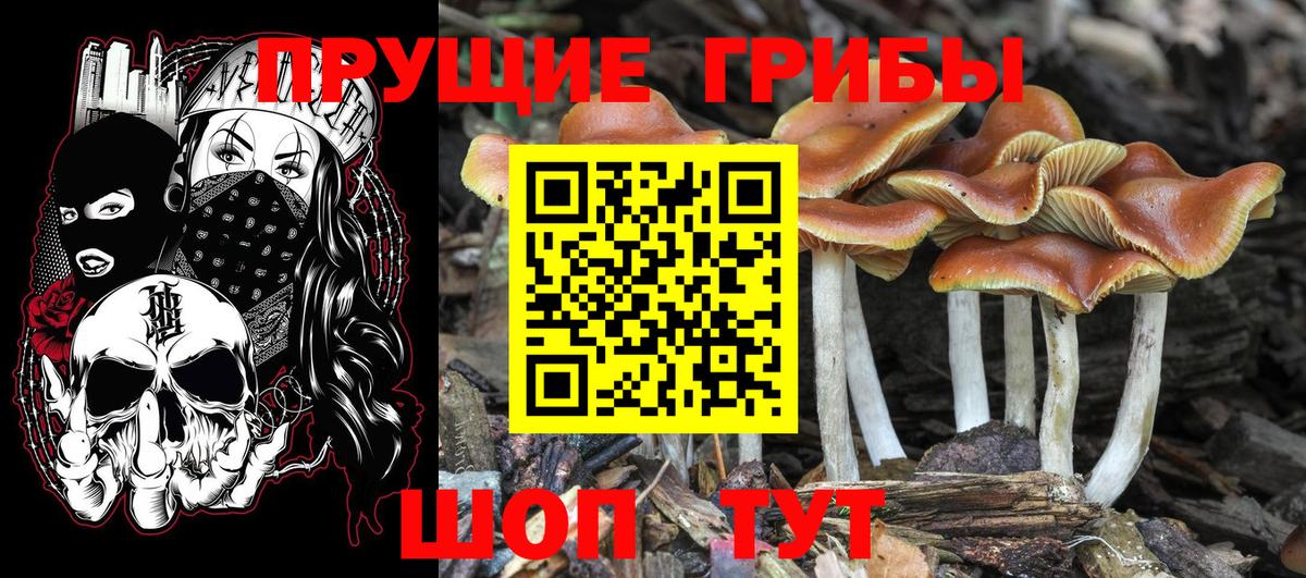 Галлюциногенные грибы мухоморы  Вход с VPN  Пыть-Ях 
